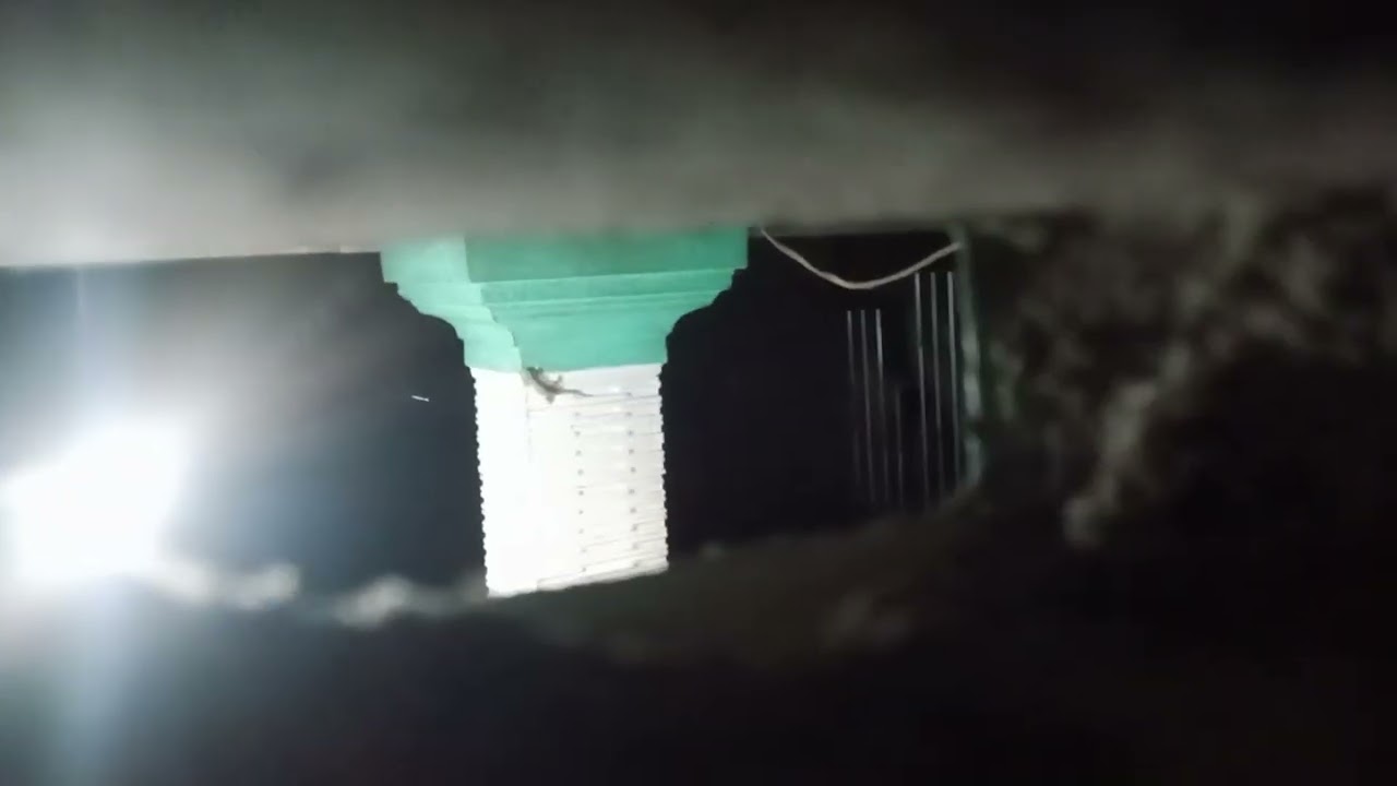 MENCOBA MENGAMBIL SUARA AYAM DI TENGAH MALAM !! KOK GAK BIASA NE 