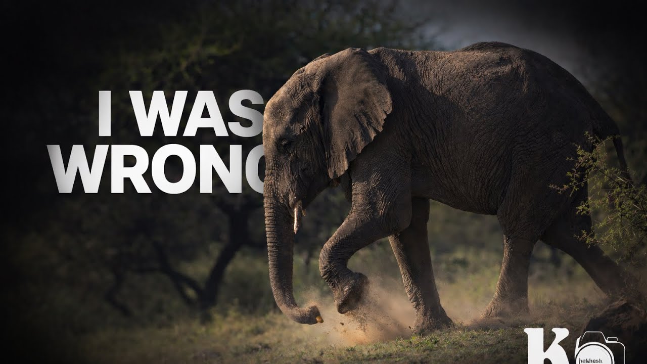 I thought this Elephant was struggling...Until I looked closer.