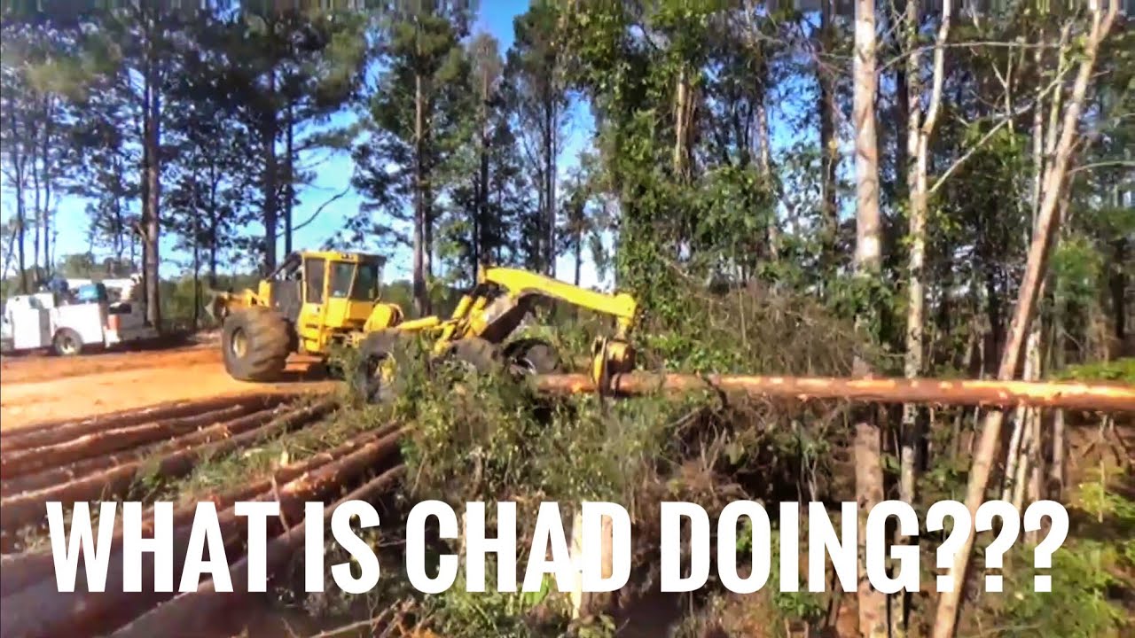 A really cool logging video!