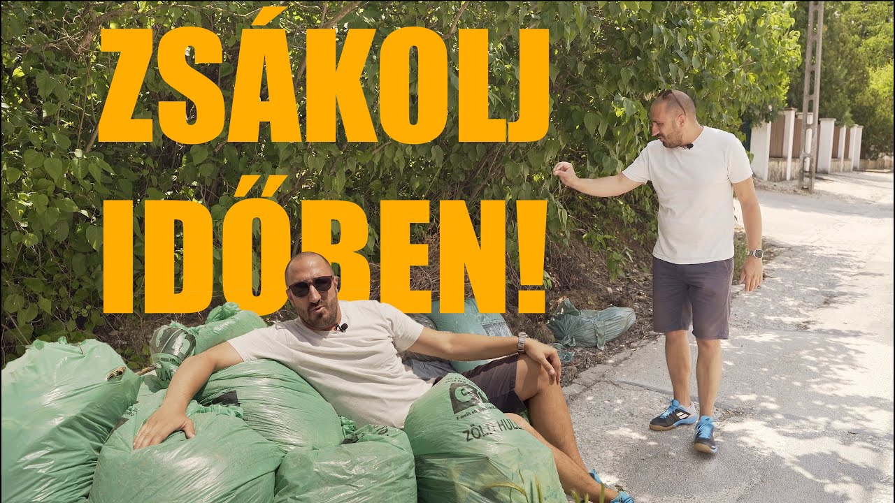 IDŐBEN TEDD KI A ZÖLDET! | ÉRDMOST