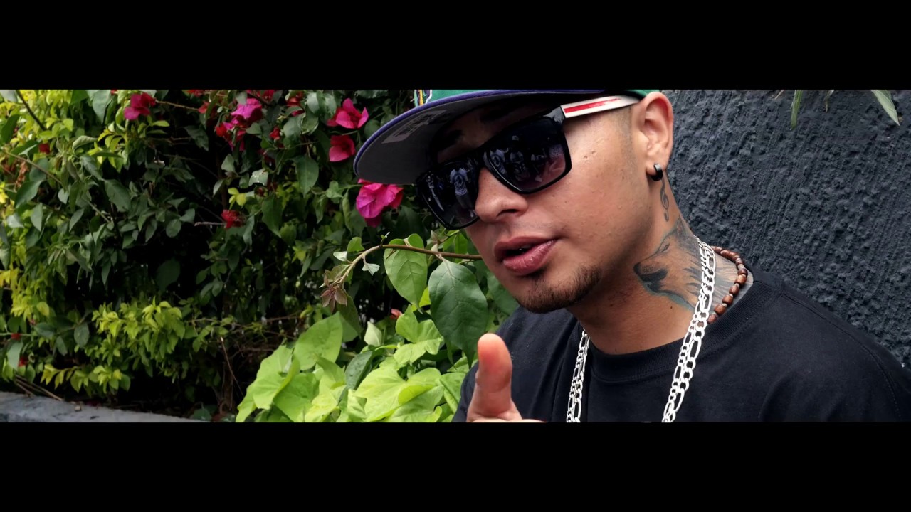 Griser Nsr - No Te Voy A Molestar (Video Oficial)