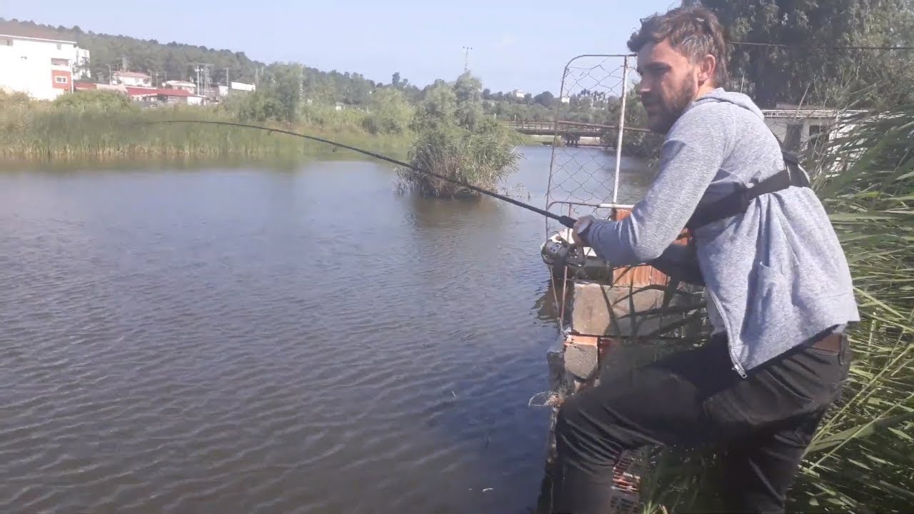 BALIK AVI  - AT ÇEK- ŞAMANDIRA  SİSTEMi KEFAL AVI SİNOP HAMSİLOS -( 2019-2020) balık avı