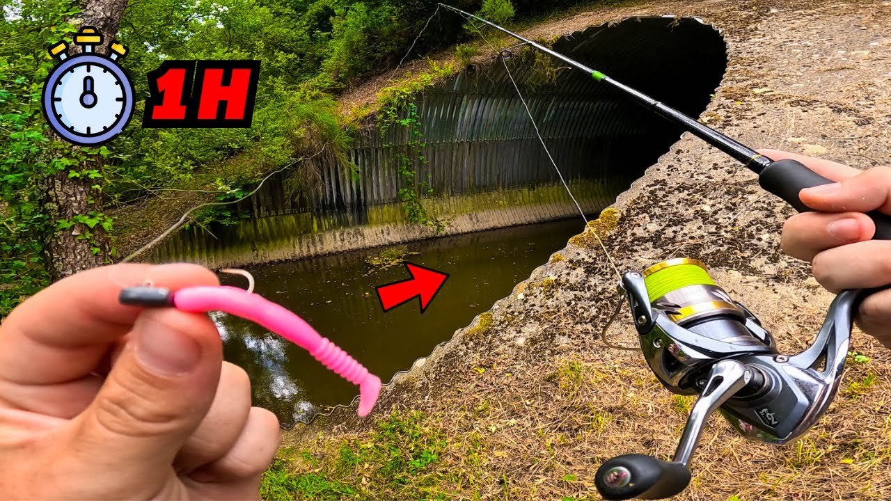 Pêcher du poisson en 1 heure c’est possible ? Je vous explique tout !!