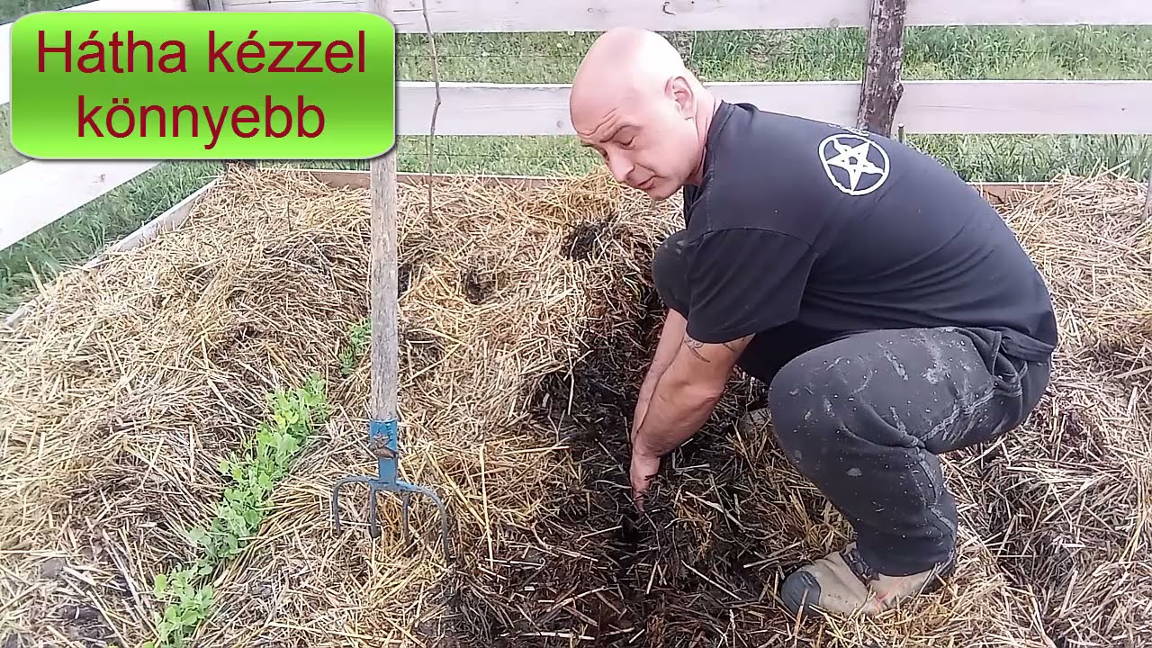 Mélymulcs 6. - Újravetés - Analizálás - Tapasztalat megosztás