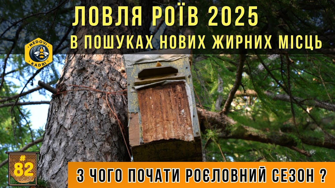 Офіційно. Рої 2025. Старт роєловного сезону.
