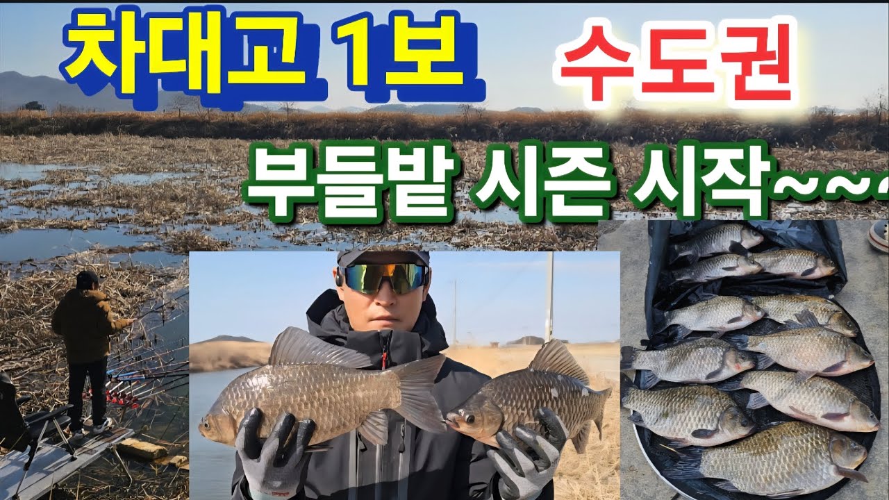 차대고  1보  부들밭  월척 허릿급은 기본~!!! 