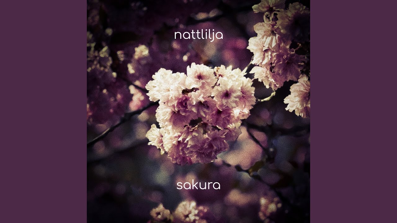 Sakura