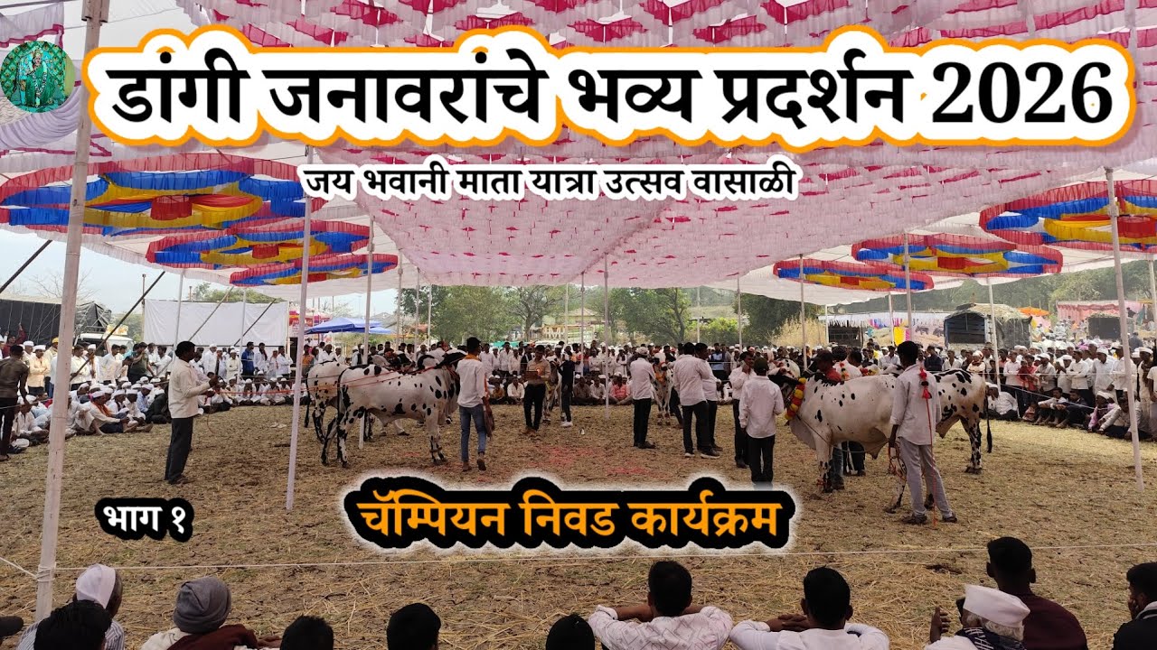 Wasali Pradarshan 2026 | Champion निवड | आज Wasali Pradarshan मध्ये काय झालं? | भाग 1 