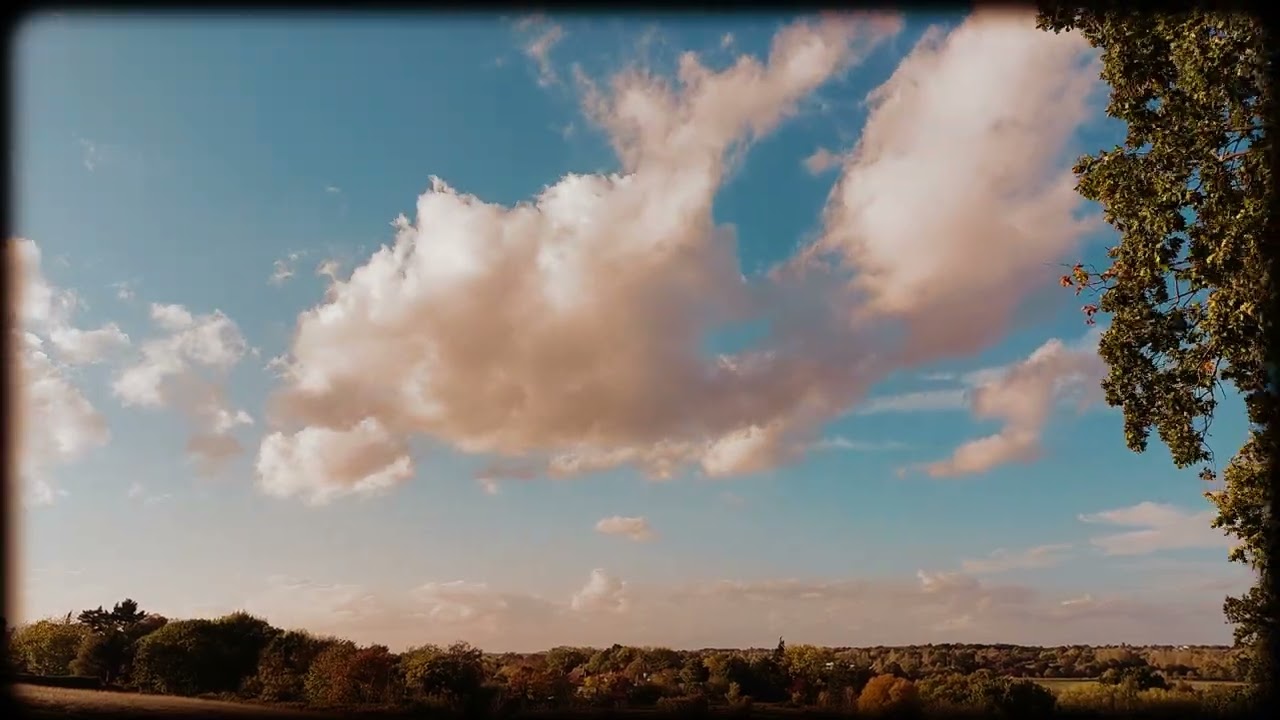 - Hilly Fields - Colchester -