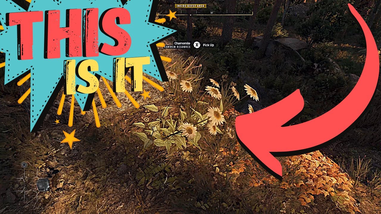 Dying Light 2: How to Find Chamomile
