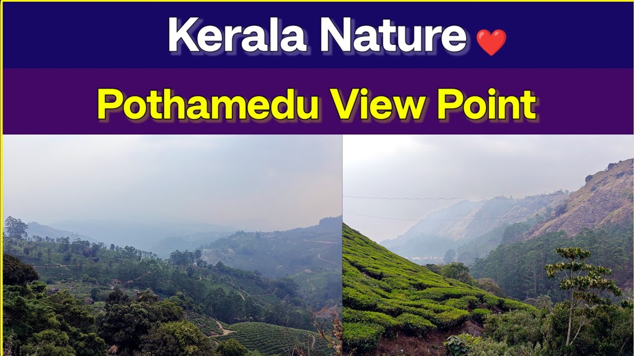 ऐसा View कहीं नहीं 😲 | Pothamedu View Point Munnar #munnar #kerala #keralatourism #travelvlog #love