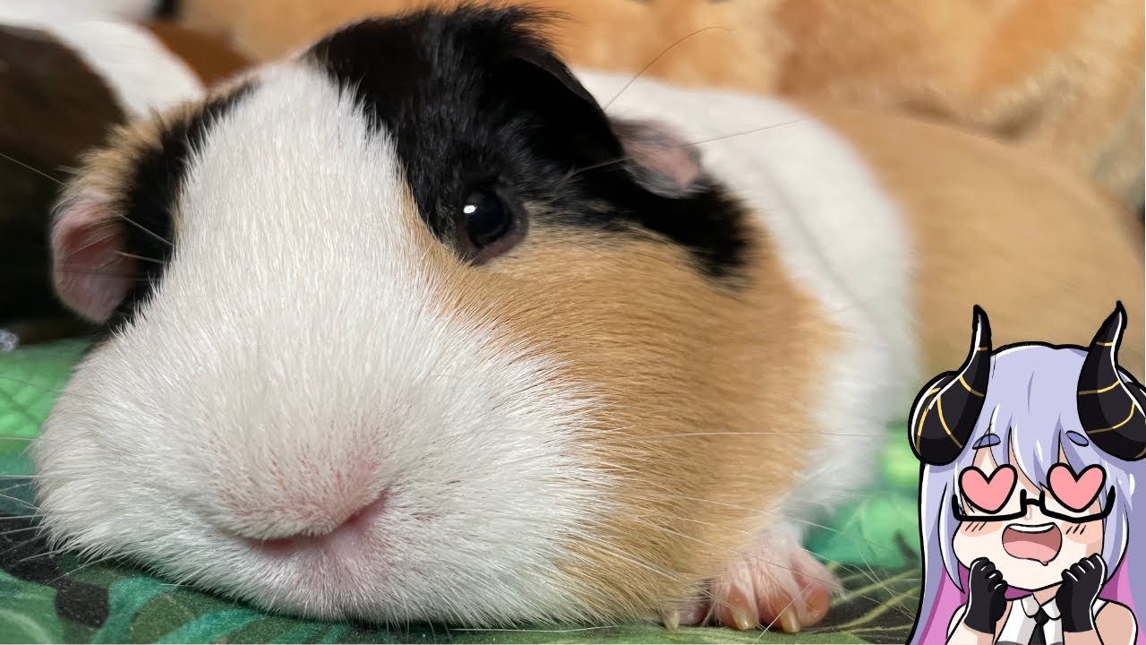 SO macht man das NICHT!