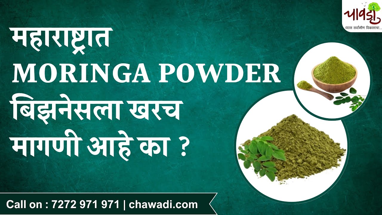 How to Start Moringa Powder Business in Maharashtra | या बिझनेसला खरंच महाराष्ट्रात मागणी आहे का ?