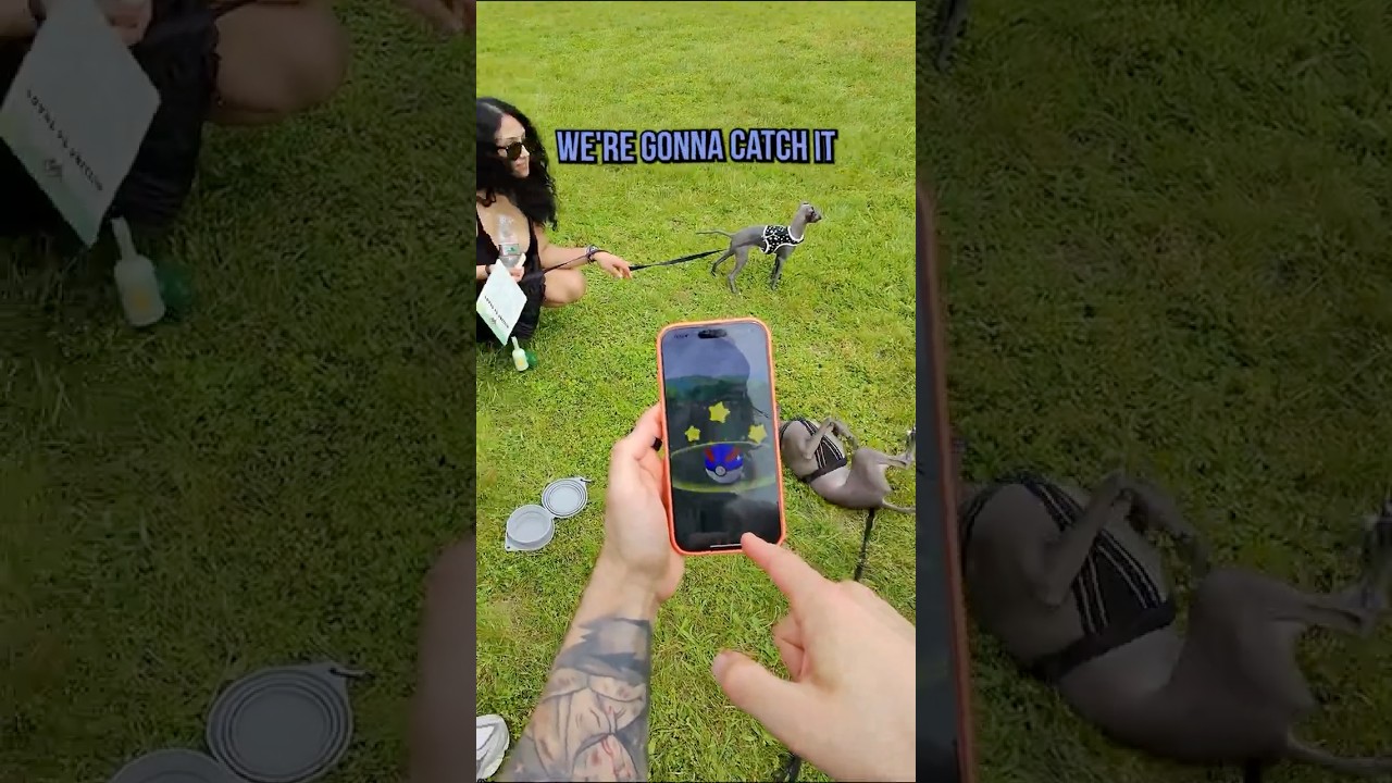 Блестящая охота на Pok&eacute;mon GO Fest 2025!