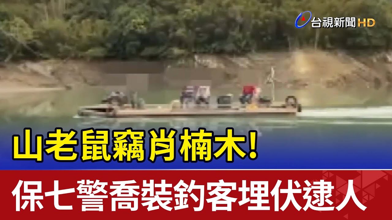 山老鼠竊肖楠木！保七警喬裝釣客埋伏逮人