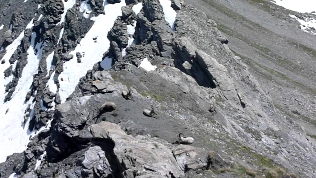 Monte Losetta- Val Varaita