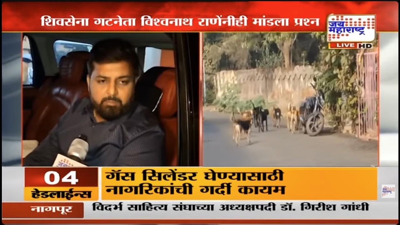 Kalyan मध्ये भटक्या कुत्र्यांचा प्रश्न गंभीर, BJP नगरसेवक Dipesh Mhatre यांनी सभागृहात मांडला प्रश्न