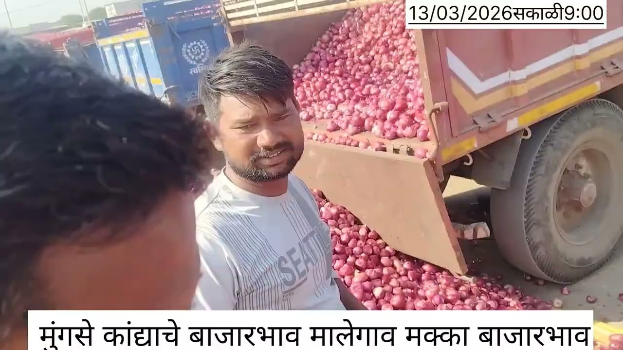 लाल कांदा 13/03/2026मालेगाव-मुंगसे कांद्याचे/मक्का बाजारभाव सकाळी 9:00      #bhushanjadhav1508  