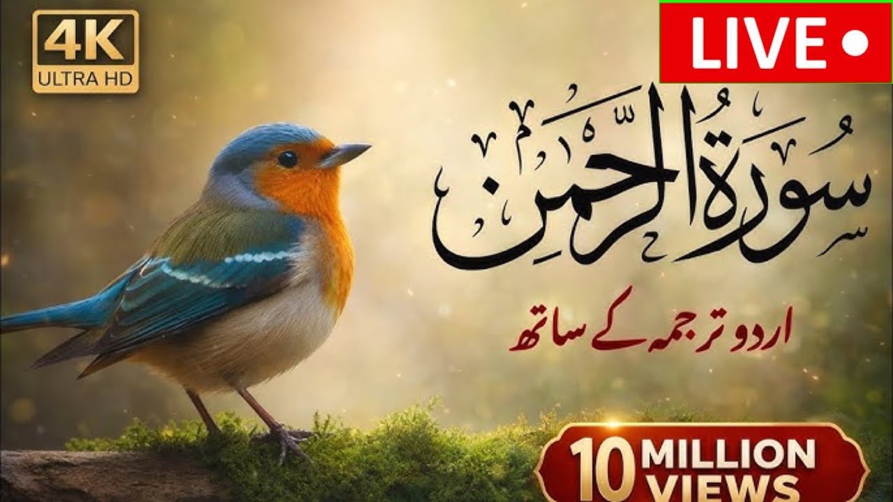 ALLAH 💗 🔴 Live  Tilawat Surah AR Rahman Surah Waqiah
