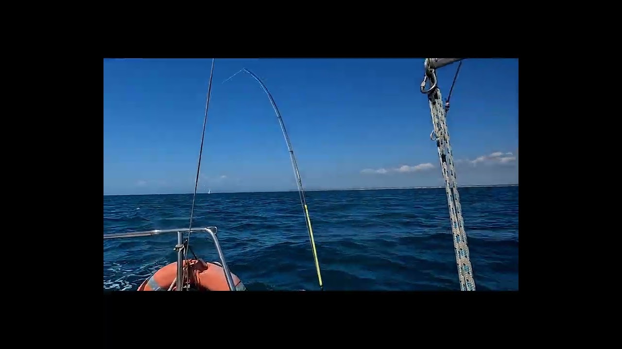 bolina stretta con vento forte