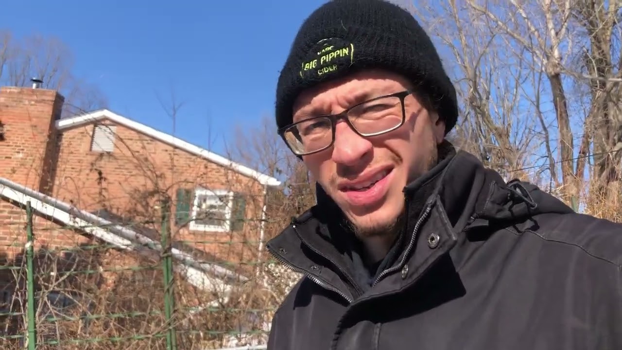 Winter Bonsai Update (2-24-26)