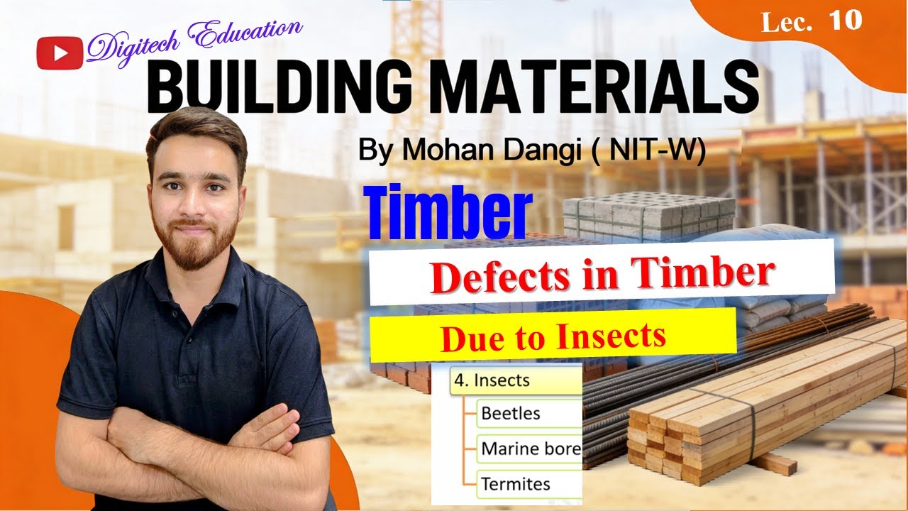 Defects in Timber due to Insects | Building Materials | Mohan Dangi | #B.techFirstyear