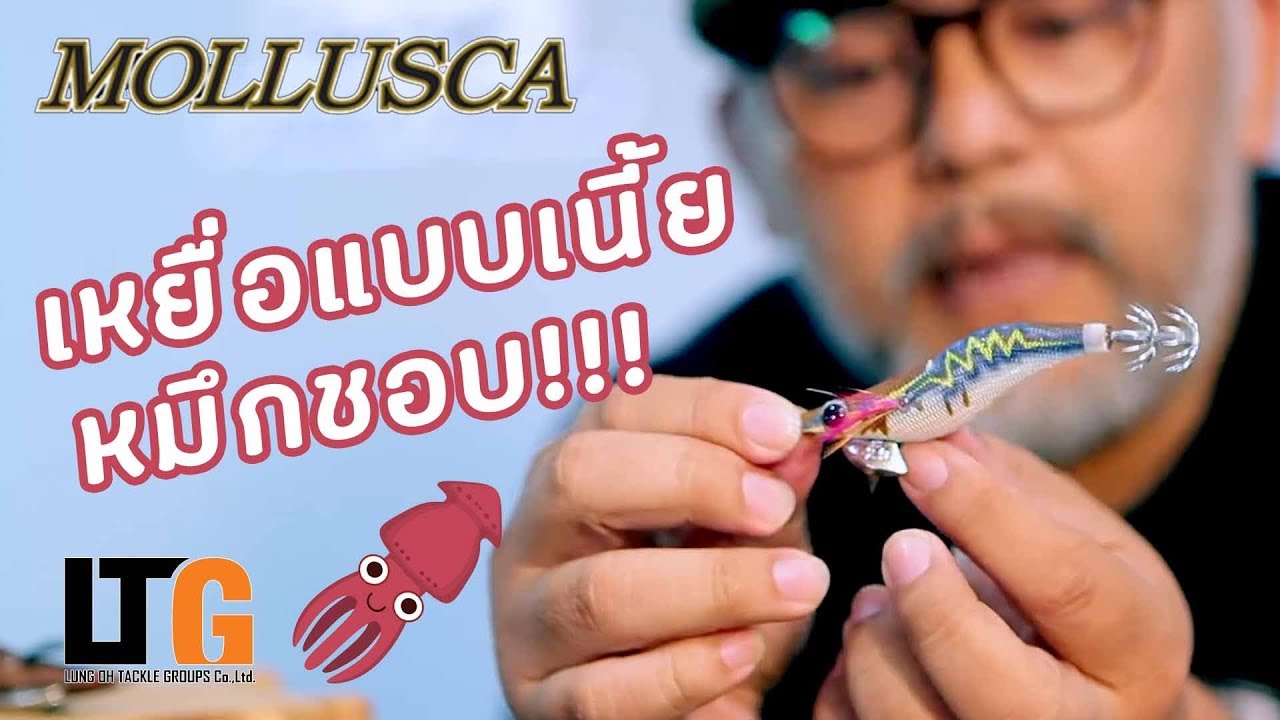 โยกุ้ง Mollusca ตกหมึกควรมีไว้ จาก LTG
