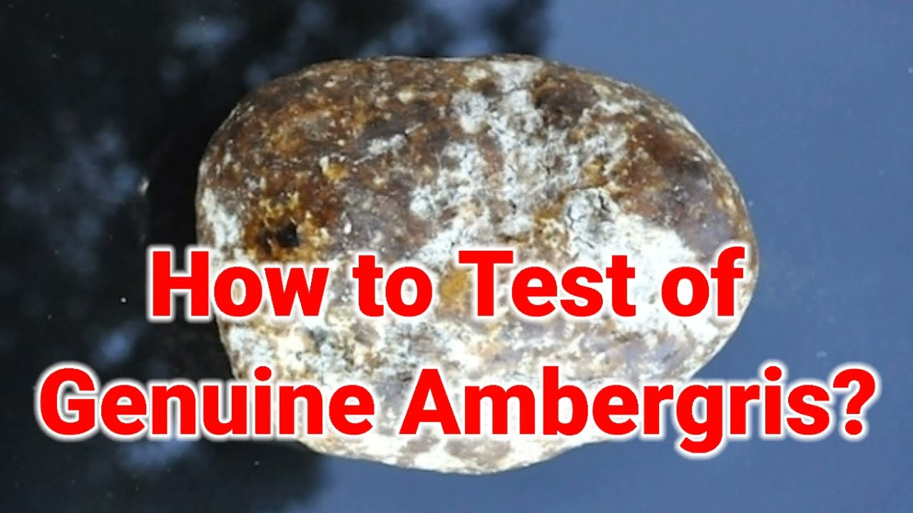 How to Test of Genuine Ambergris? @newssahaba1992
