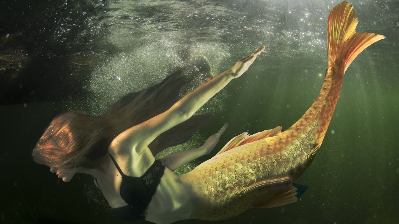 GeoCaching Series &ndash; Hidden Creatures &ndash; Mermaid Reality