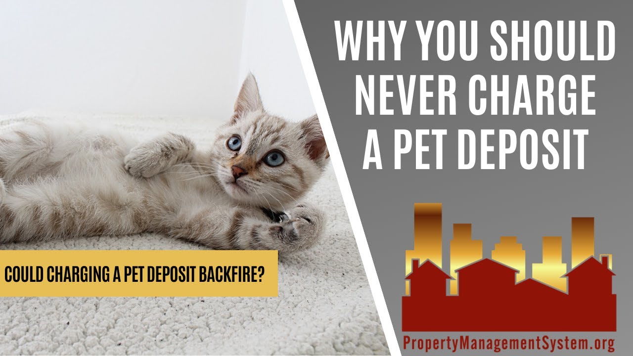 Why You Should Never Charge a Pet Deposit