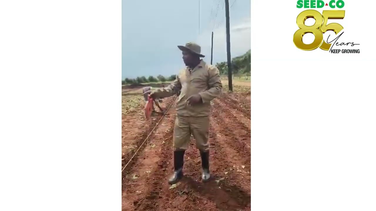 Ulimi Wa Soya:Kabzalidwe Koyenera