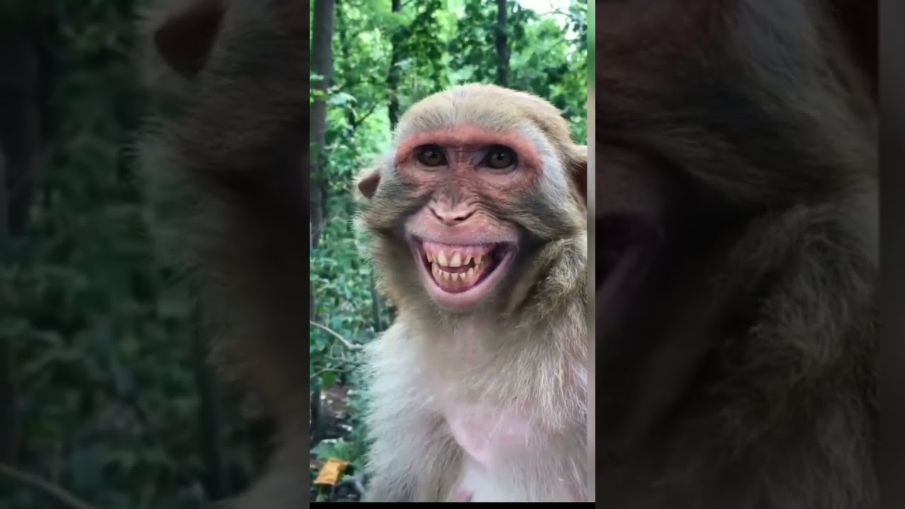 Manky funny smail 🤣 aalu balu cartoonRasgulle Kha Lain?  aloo wala short videolockdown aalu comedy