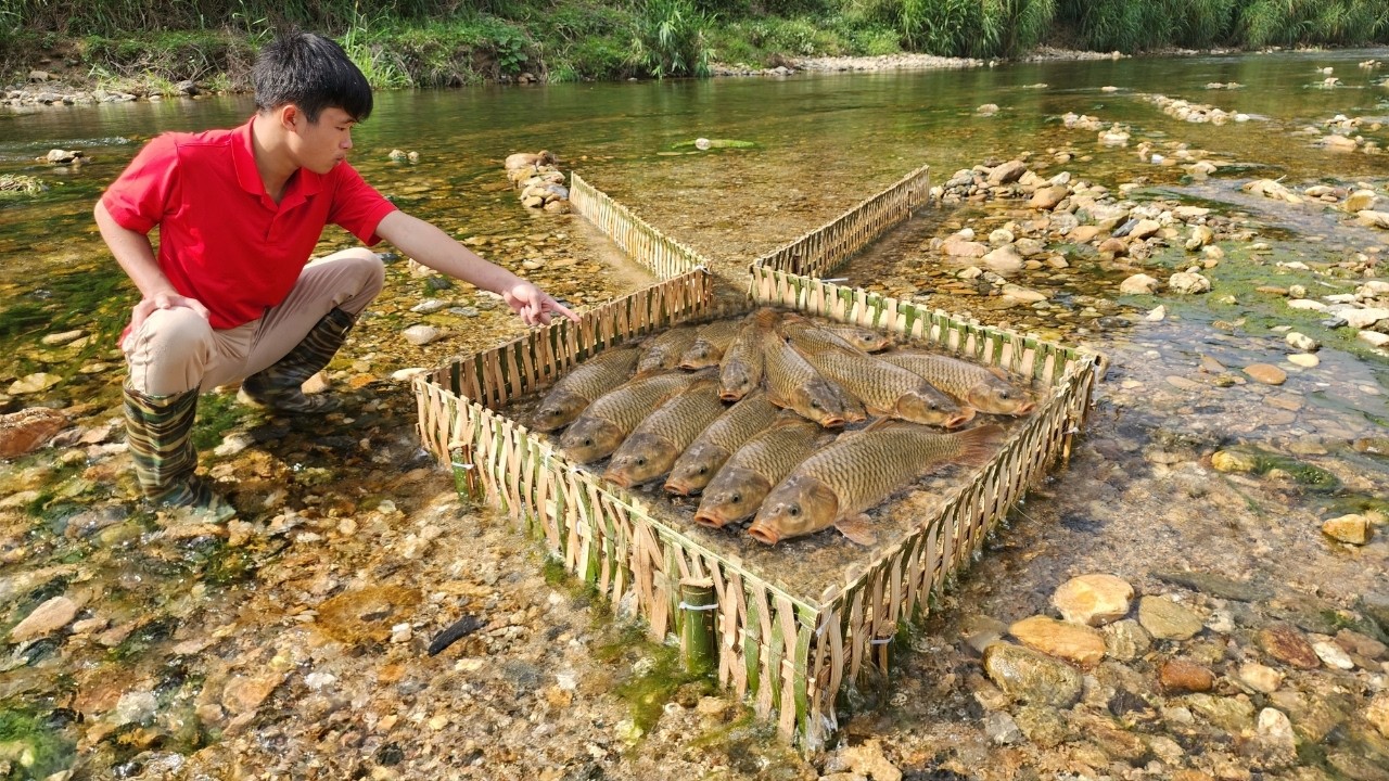 Lam's ancient fishing method of trapping fish with bamboo traps has fortunately caught a lot of fish