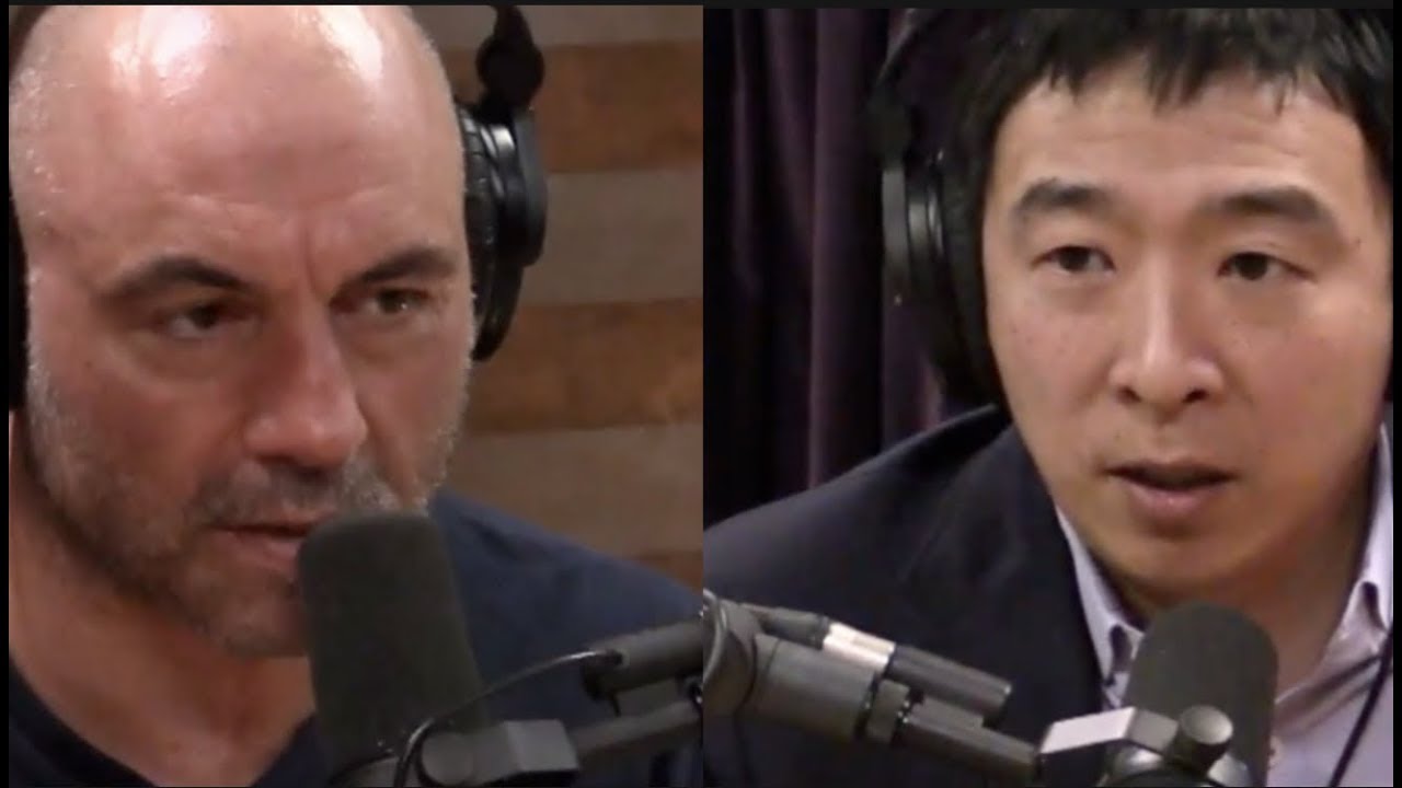 Andrew Yang on Why Life Expectancy for Americans is Declining | Joe Rogan