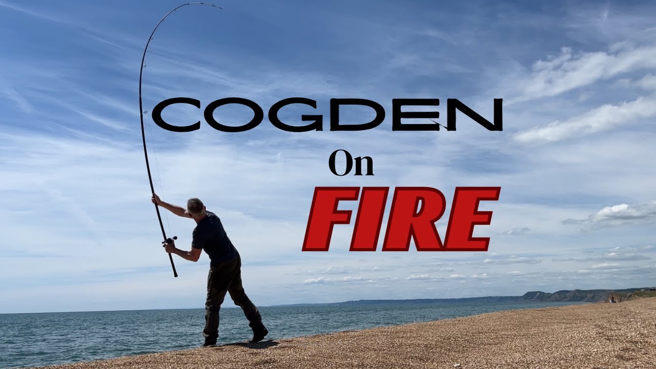 CATCHING at Cogden on Chesil beach, multiple species UK sea fishing, Dorset in June
