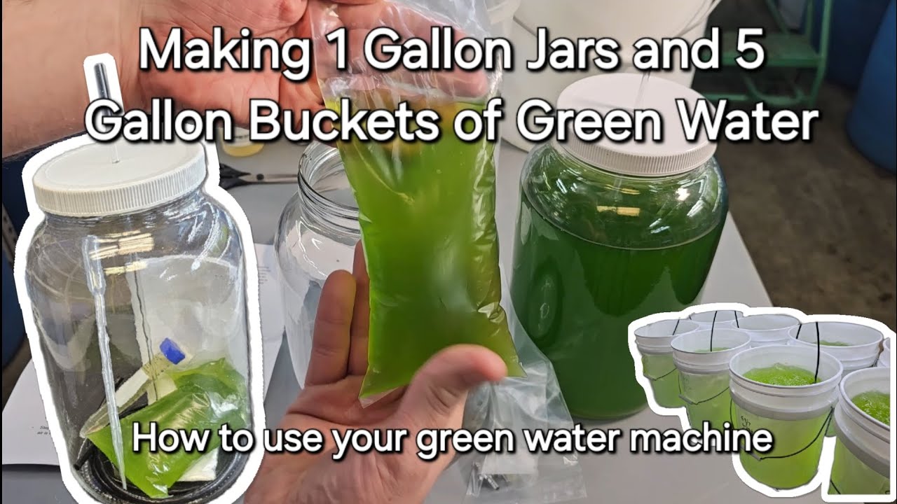 Using Your Green Water Machine and Making 5 Gallon Buckets of Green Water