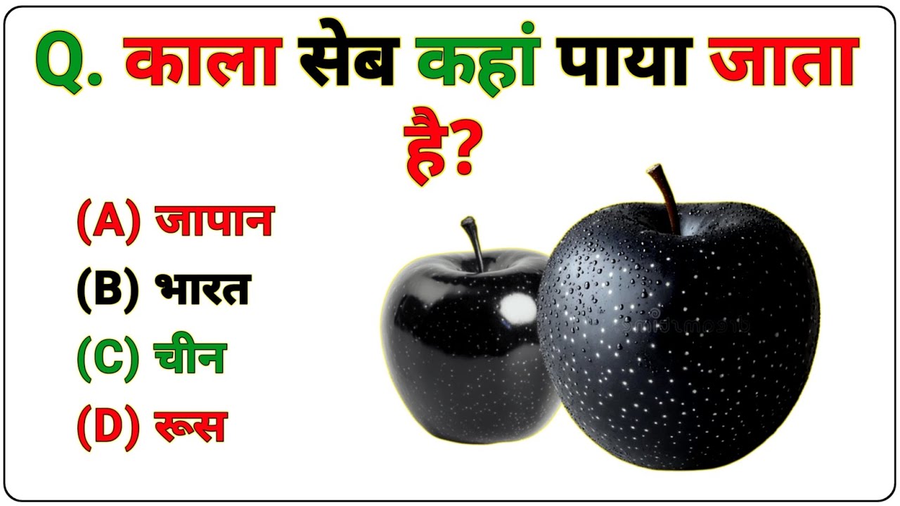 General Knowledge Quiz | सामान्य ज्ञान क्विज | gk questions