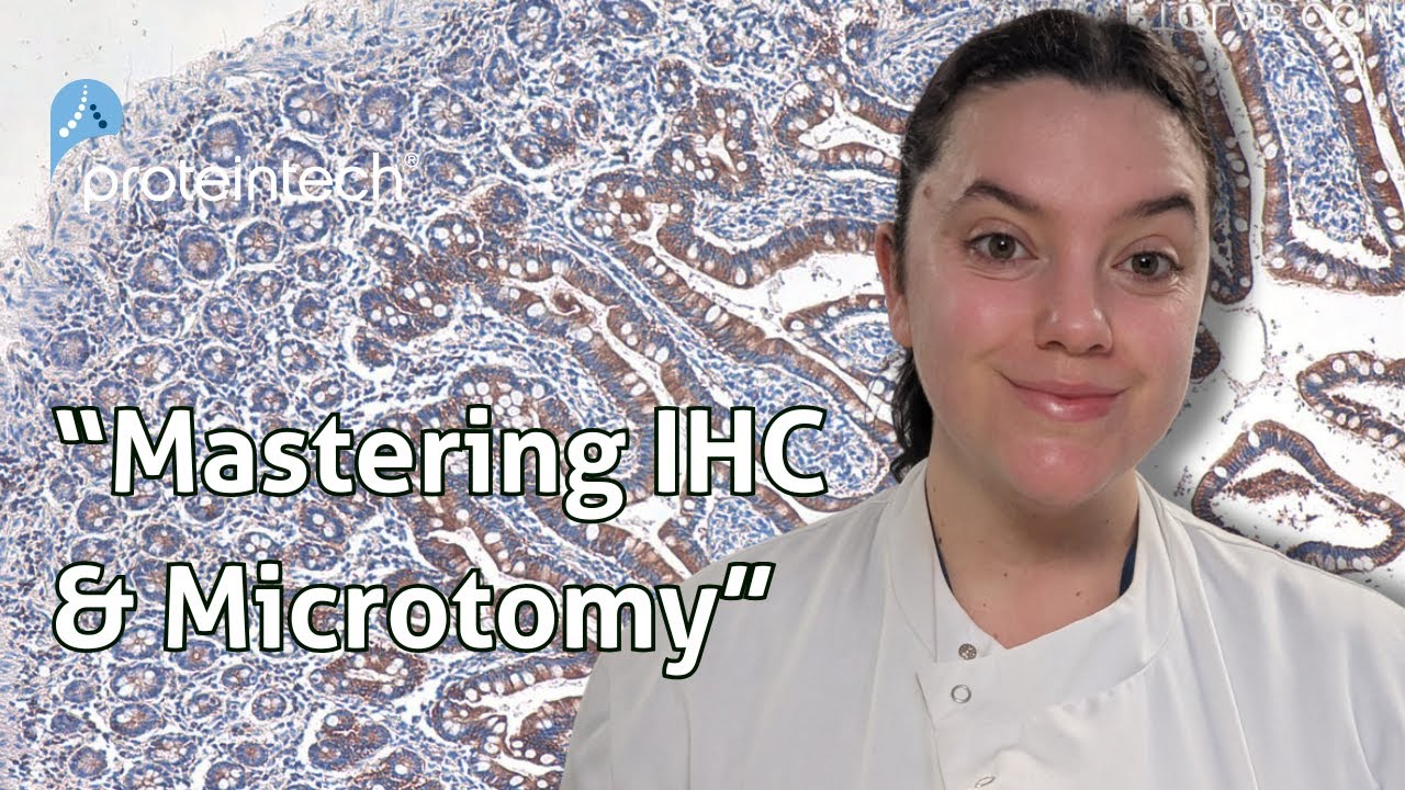 Mastering Microtomy: Best Practices for Artifact-Free Tissue Sections