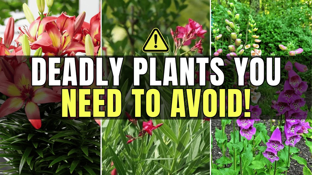 5 Deadly Plants You Should Never Buy from Nurseries + Safe Alternatives
