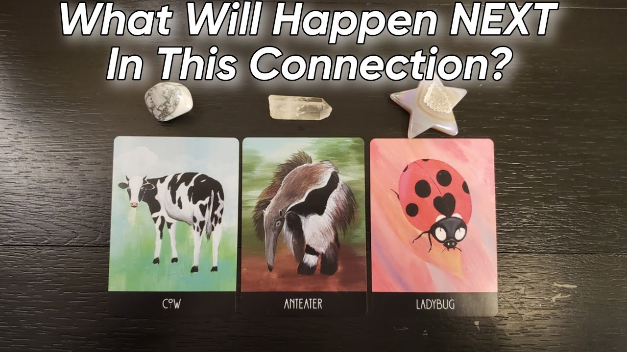 🤔💕 What Will Happen NEXT In This Connection? Pick A Card Love Reading