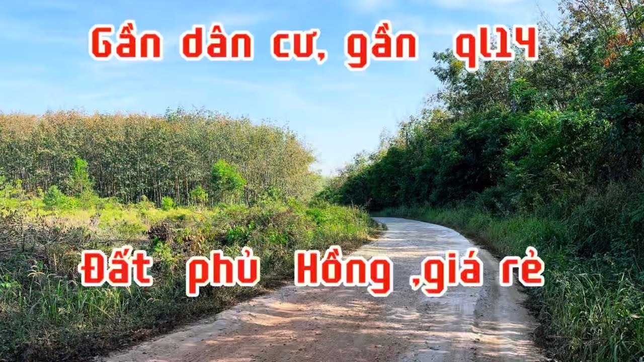 Bán gần 6 sào đất gần dân cư và Ql14,chợ .giá 800 triệu.đồng phú Bình Phước (đồng Nai) lh 0867048379