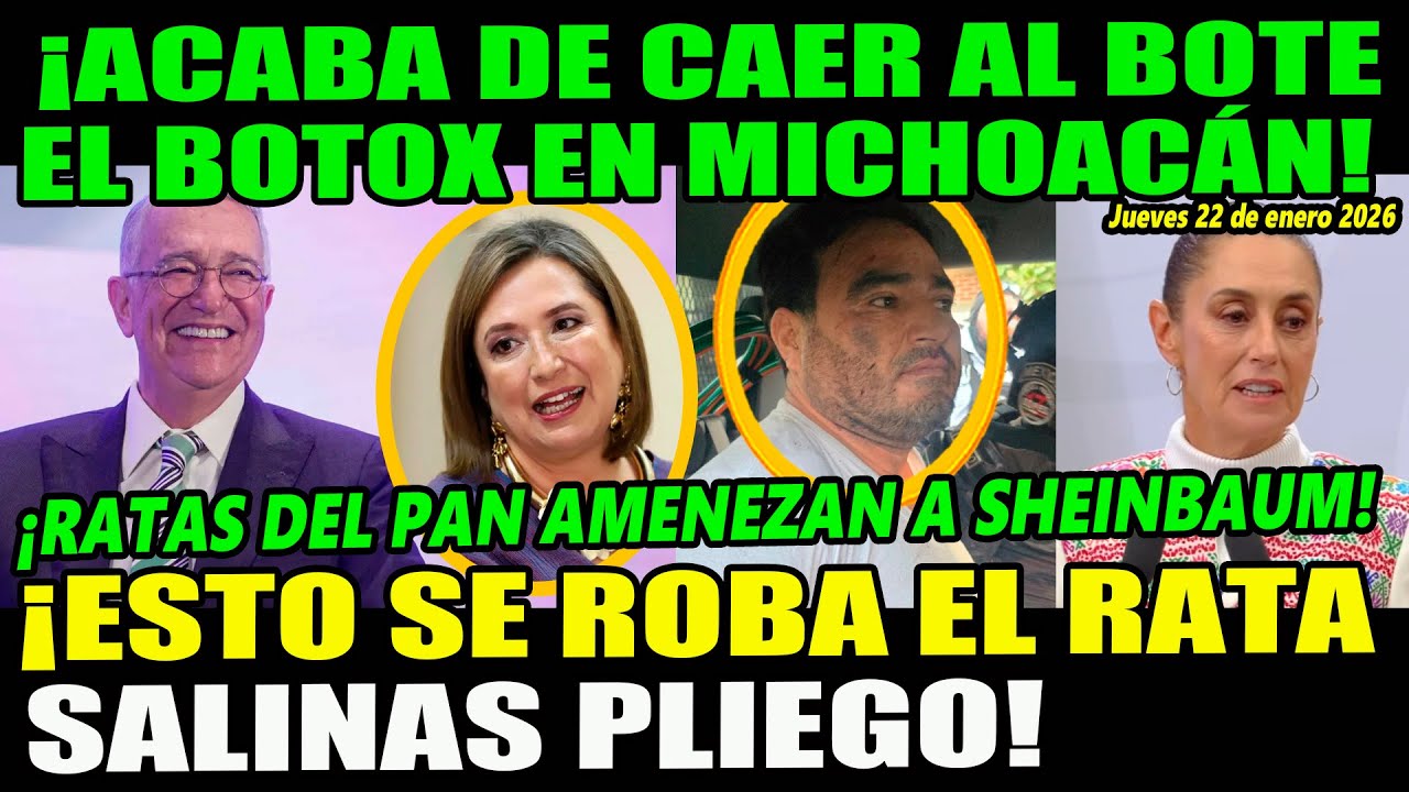 ¡Harfuch! Acaba de caer al bote el botox ¡PAN amenaza a Sheinbaum! Esto se roba Salinas