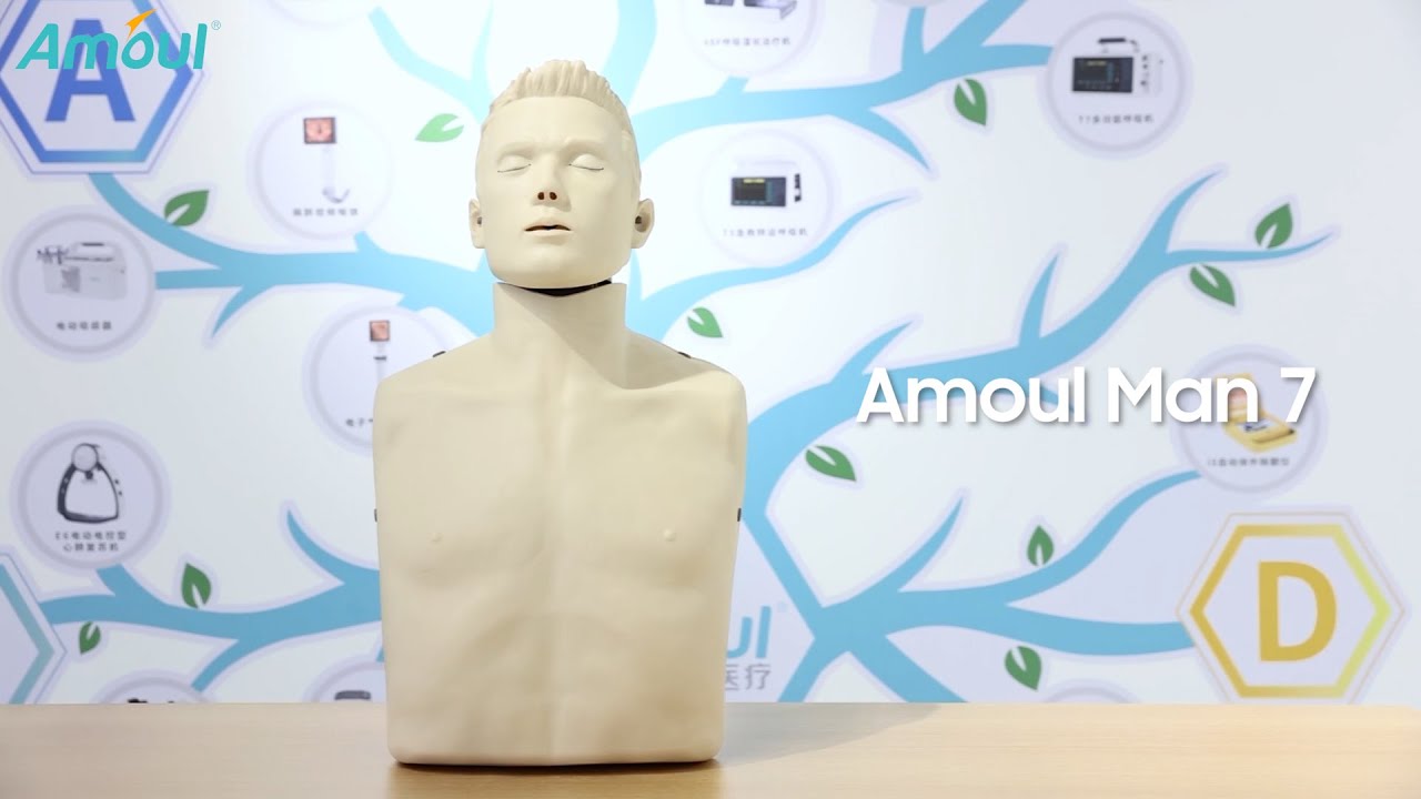 Amoul Man Manikin AM-7