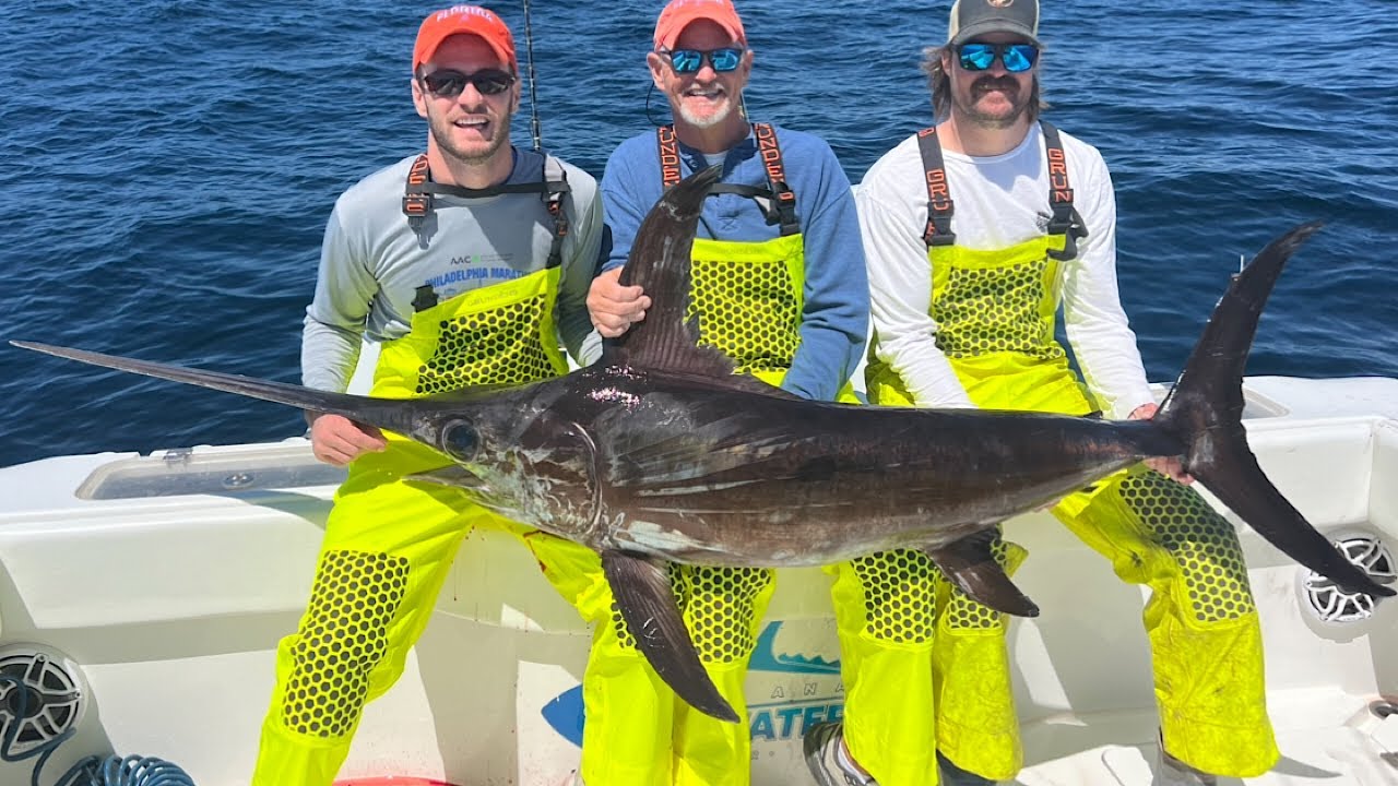 Daytime SWORDFISHING in Gulf of America - Catch and Cook - Ep 60