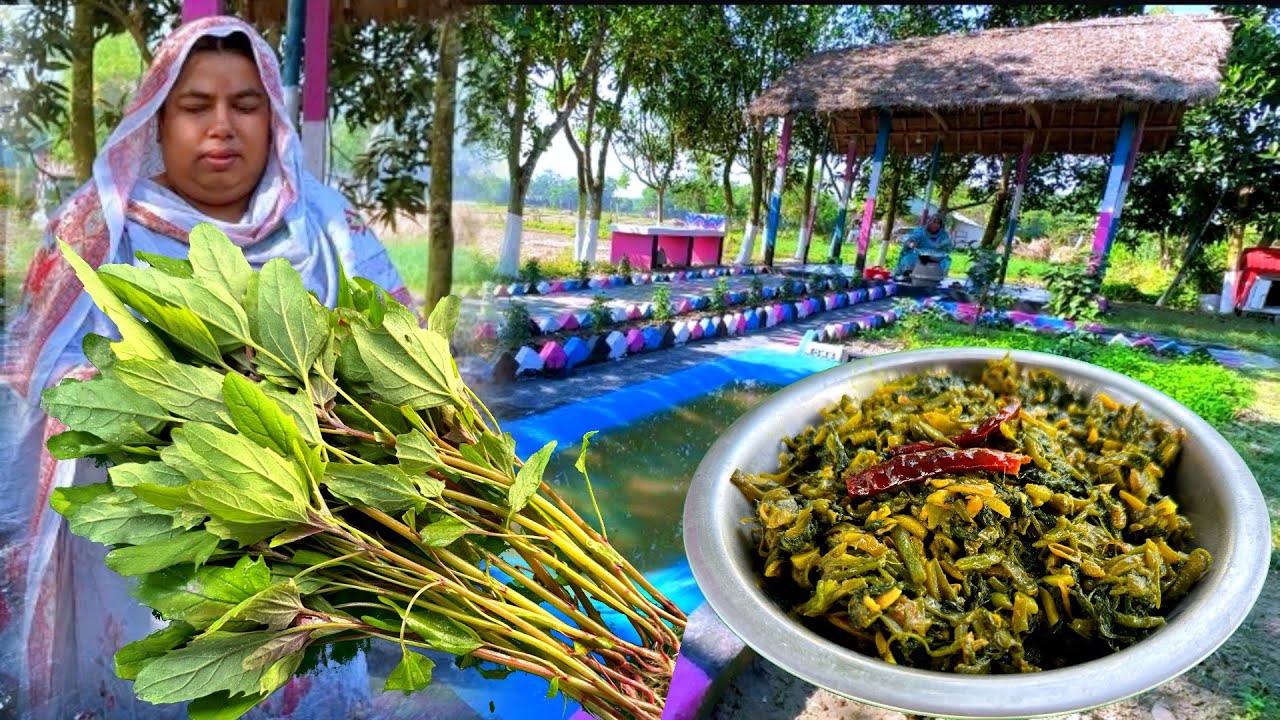 জমি থেকে বেতে শাক তুলে গাছের ছিম দিয়ে রান্না  |