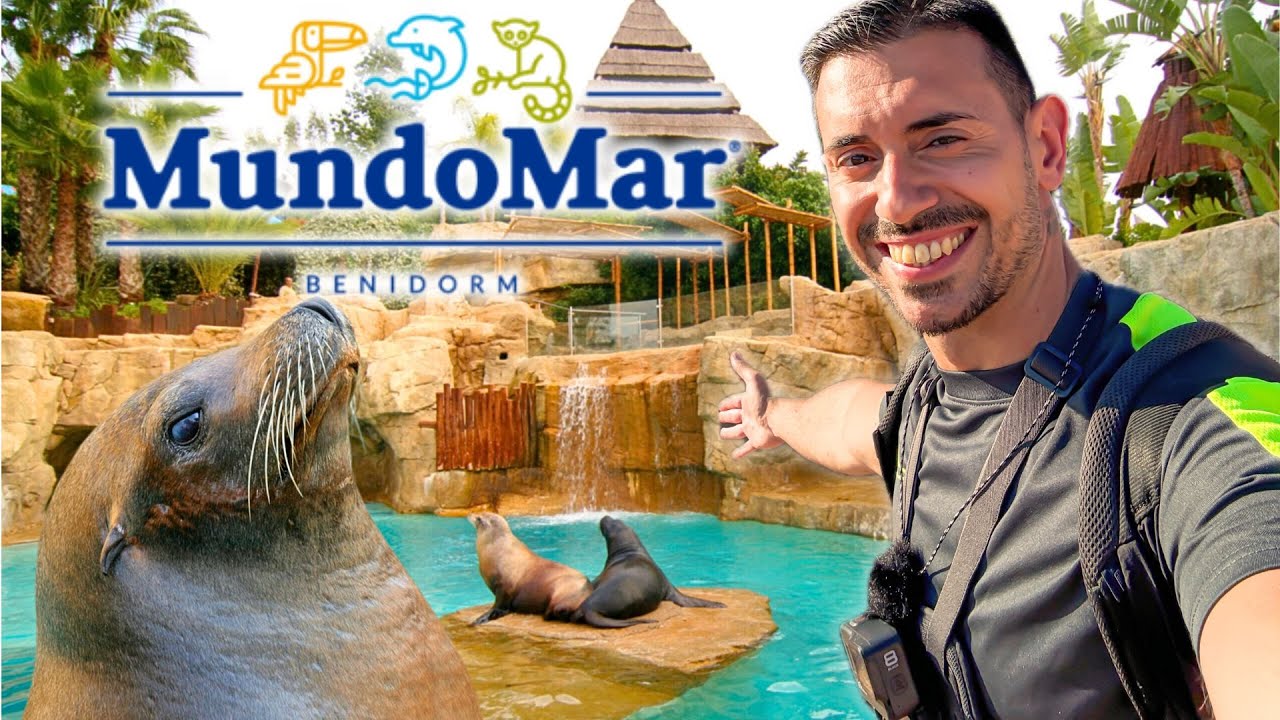 Un Oasis Marino INOLVIDABLE 🐬 Así es MUNDOMAR BENIDORM