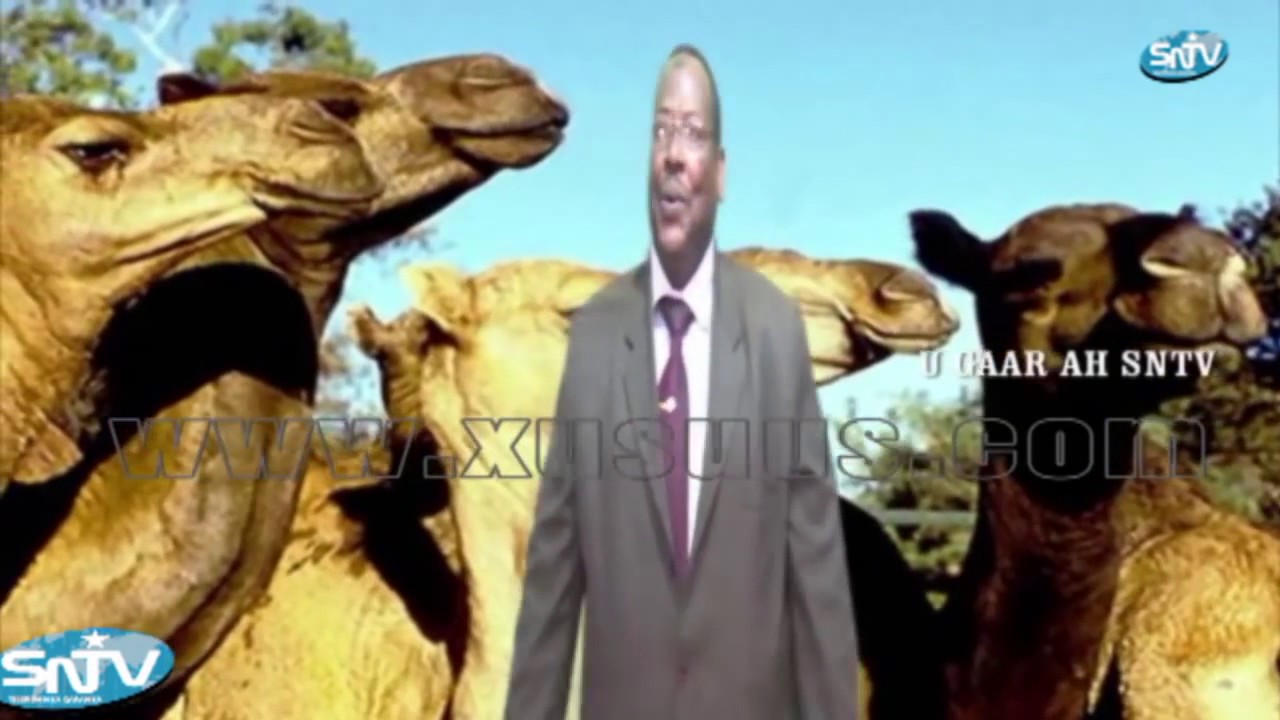 Prof; Dalxa heestii Shankaroon OFFICIAL VIDEO.