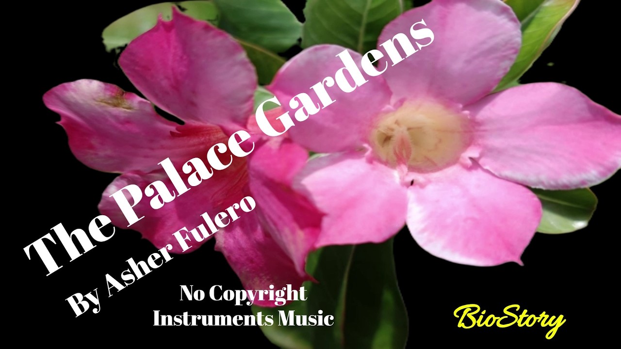 THE PALACE GARDENS by Asher Fulero [Background Music No Copyright]