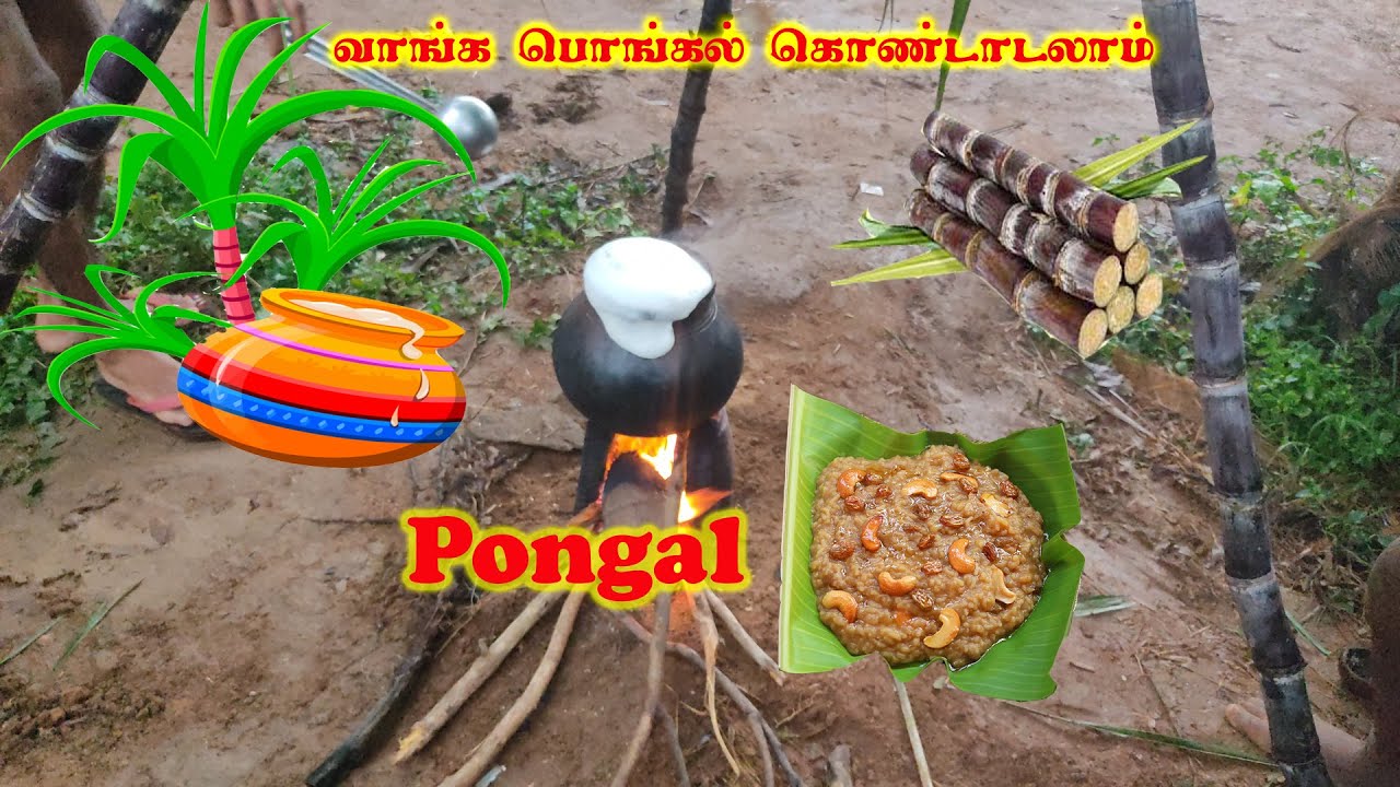 Pongal | How to do Pongal | பொங்கல் செய்வது எப்படி | Tamil Festival