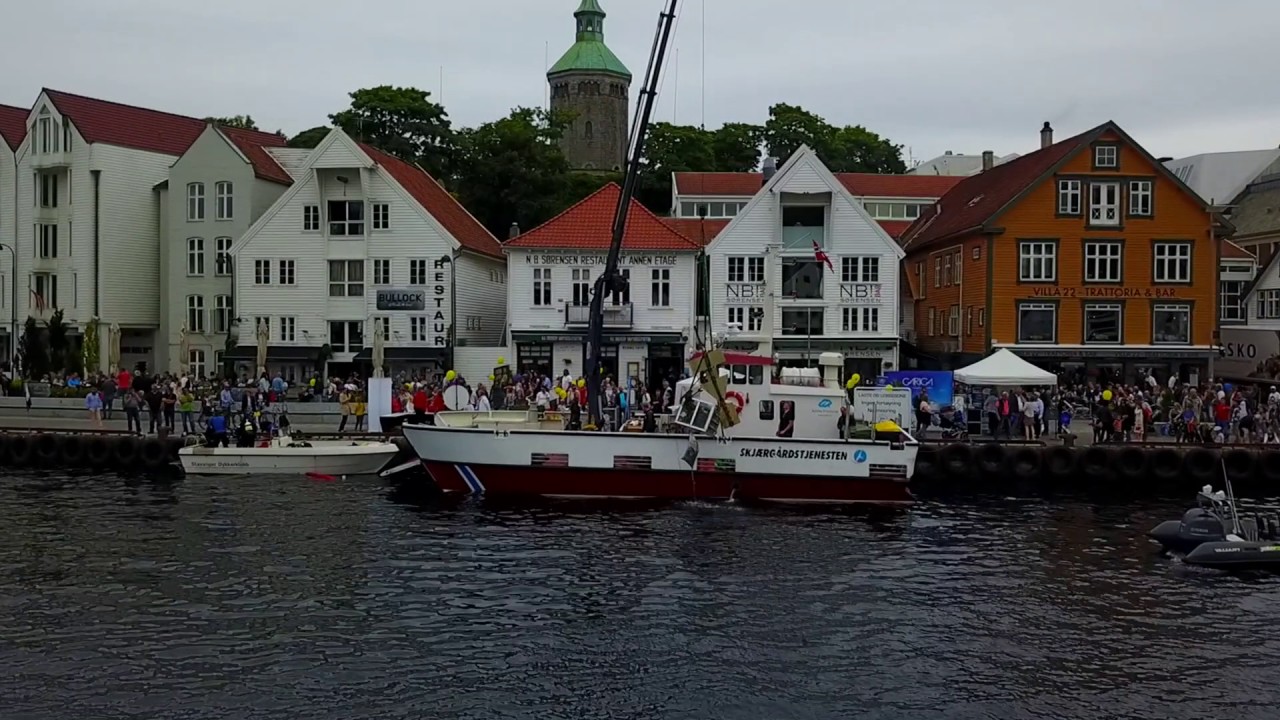 Se alt søppelet dykkerne fant i Stavanger sentrum